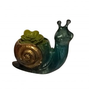 Animaux - Escargot Plantes Verte