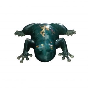 Animaux - Grenouille verte