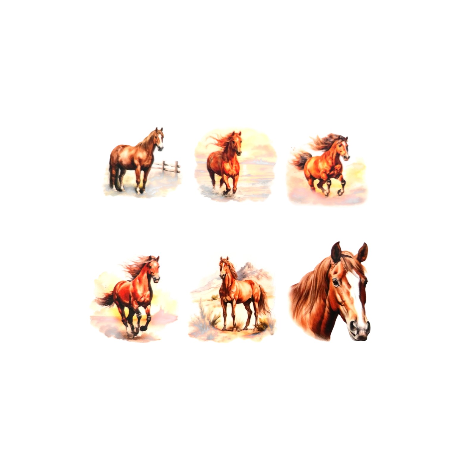 Transfert - Mugs - Tee-shirt - Cheval