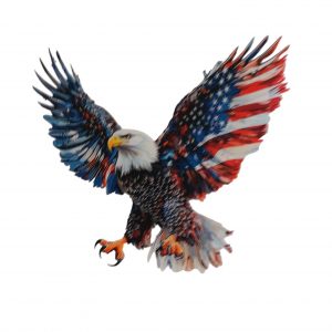 Transfert - Tee Shirt- Sac- Housse de Coussin